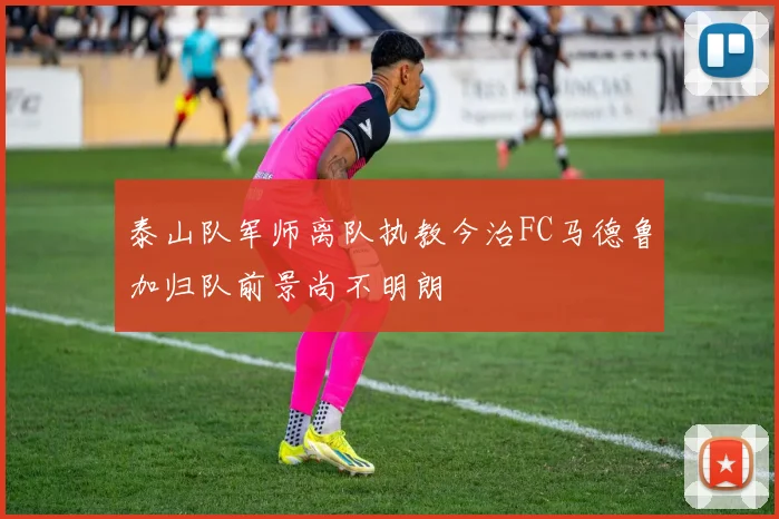 泰山队军师离队执教今治FC马德鲁加归队前景尚不明朗